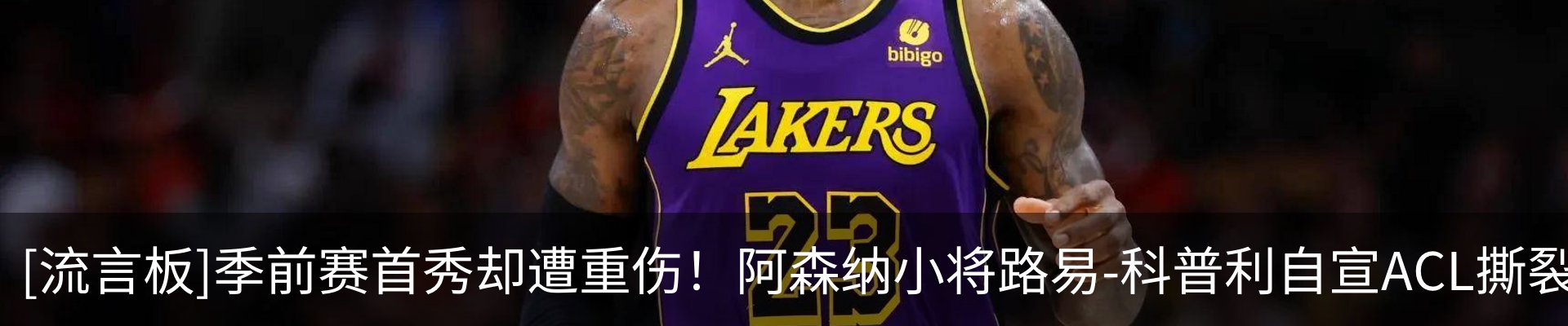 新闻动态